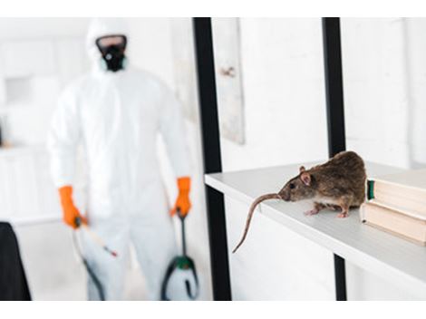 Dedetização de Ratos na Pompéia