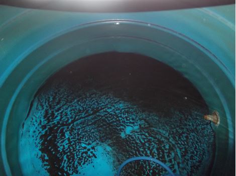 Limpar Caixa D'Água em Veleiros